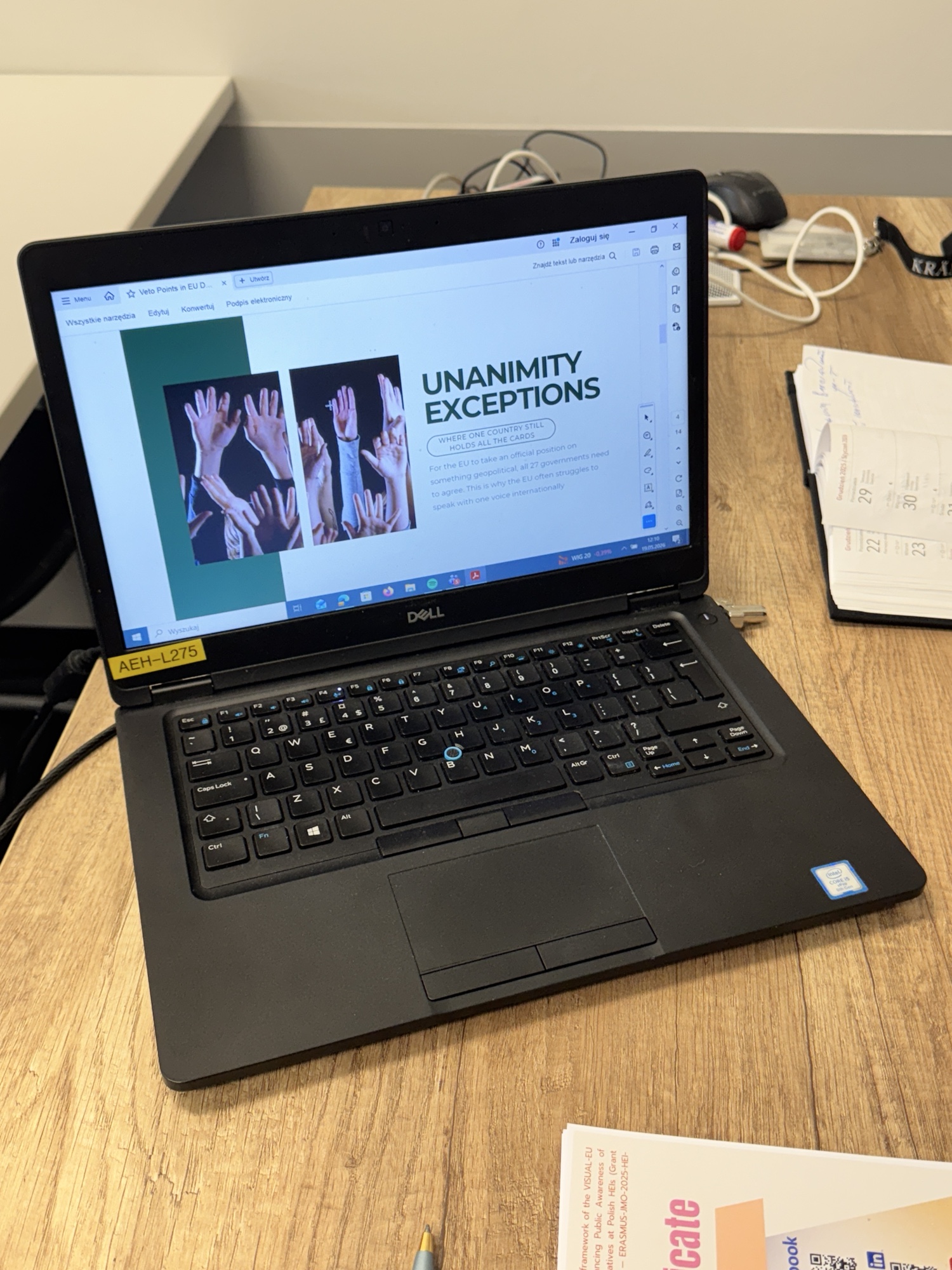 Student developing a visual analysis of EU decision-making